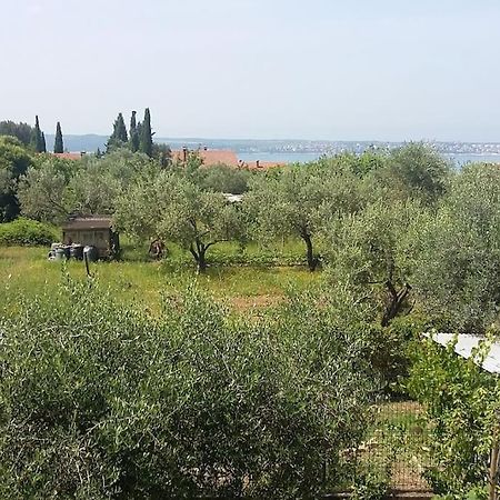 Apartma Iva Piran Bagian luar foto