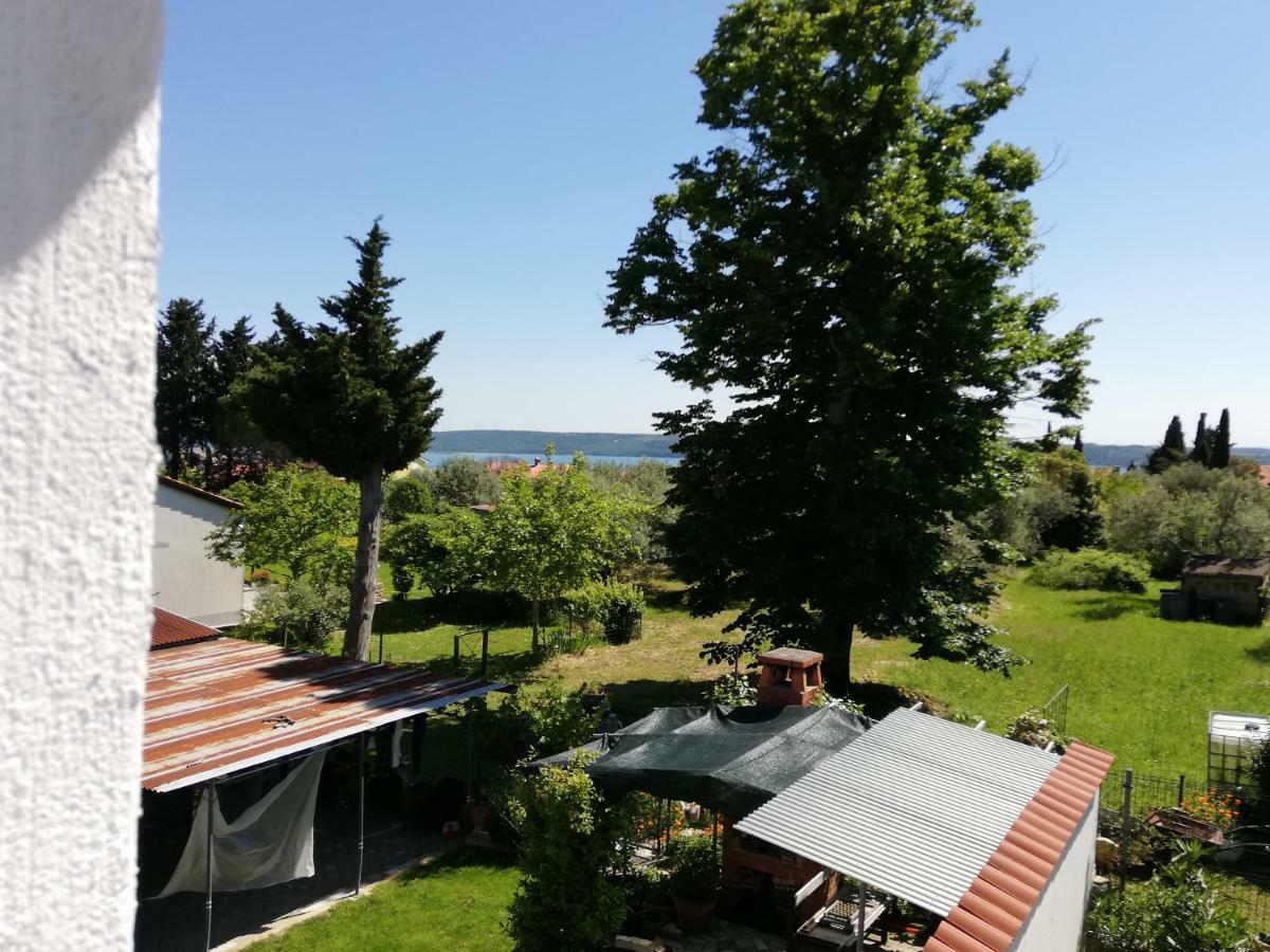 Apartma Iva Piran Bagian luar foto
